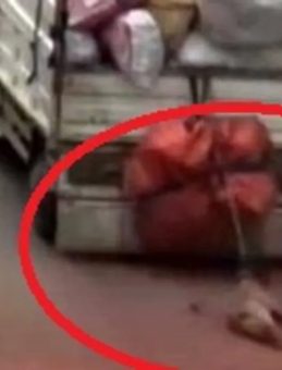 Ankara&rsquo;da Vahşet! Kamyonetin Arkasına Bağlanan K&ouml;pek Kurtarıldı