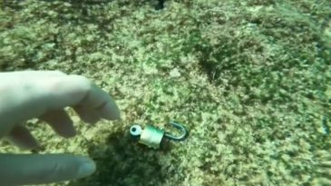 Antalya'da 4 Yıldır Hobi Olarak Dalgı&ccedil;lık Yapıyor, Denizin Derinliklerinden 'B&uuml;y&uuml; Malzemeleri' Buluyor