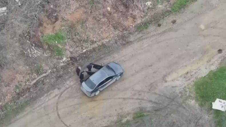 Arnavutk&ouml;y'de &Ccedil;iftlik Sahibi, &Ccedil;alışanını Elektrikli Testereyle Yaraladı