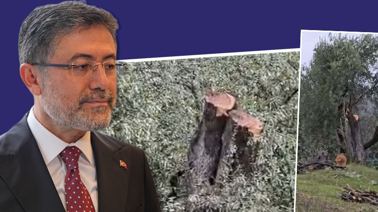 Bakan Yumaklı'nın CHP'lilere Ağaç Tepkisi