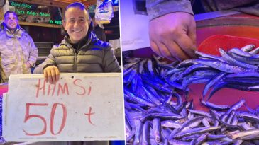 Balık Tezgahlarında Hamsi Fırtınası: 50 TL'ye Satılıyor