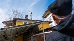 Balık&ccedil;ı Adem Amca Yaren Leylek'in Gelmesini Bekliyor: Eşi Nazlı Bu Yıl 20 G&uuml;n Erken D&ouml;nd&uuml;