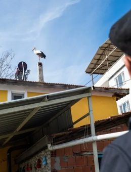 Balık&ccedil;ı Adem Amca Yaren Leylek'in Gelmesini Bekliyor: Eşi Nazlı Bu Yıl 20 G&uuml;n Erken D&ouml;nd&uuml;