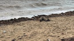 Balıkesir'de Sahilde Kadın Cesedi Tespit Edildi