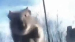 Başakşehir'de Yolda İlerleyen Araca Fare Atlarken, S&uuml;r&uuml;c&uuml; Polis &Ccedil;evirmesine Girdik&ccedil;e Ka&ccedil;tı