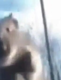 Başakşehir'de Yolda İlerleyen Araca Fare Atlarken, S&uuml;r&uuml;c&uuml; Polis &Ccedil;evirmesine Girdik&ccedil;e Ka&ccedil;tı