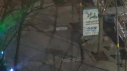 Batman'da korku dolu anlar! Kalaşnikofla rastgele etrafa ateş a&ccedil;tı