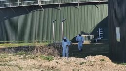 Biyogaz Tesisinde Gaz Zehirlenmesi: 3 İş&ccedil;i Hayatını Kaybetti