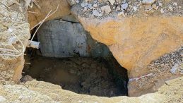 Bodrum'da G&uuml;n Y&uuml;z&uuml;ne &Ccedil;ıkan Bir Tarih: Boğa Fig&uuml;rl&uuml; Lahit