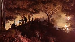 Bodrum'da Ormanlık Alan Yangını: 2 D&ouml;n&uuml;m Zarar G&ouml;rd&uuml;