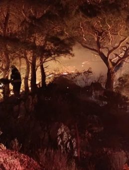 Bodrum'da Ormanlık Alan Yangını: 2 D&ouml;n&uuml;m Zarar G&ouml;rd&uuml;