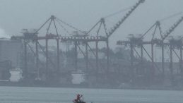 Bursa'da Denizde Erkek Cesedi Bulundu