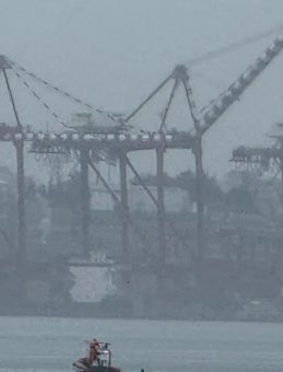 Bursa'da Denizde Erkek Cesedi Bulundu