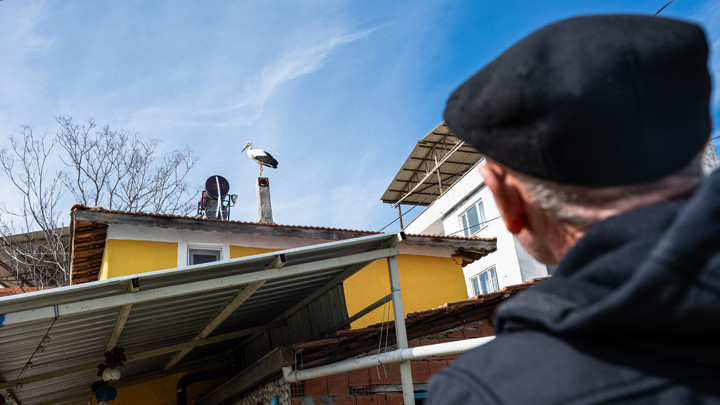Bursa'da Yaren Leylek Bekleniyor… Eşi Nazlı Geldi
