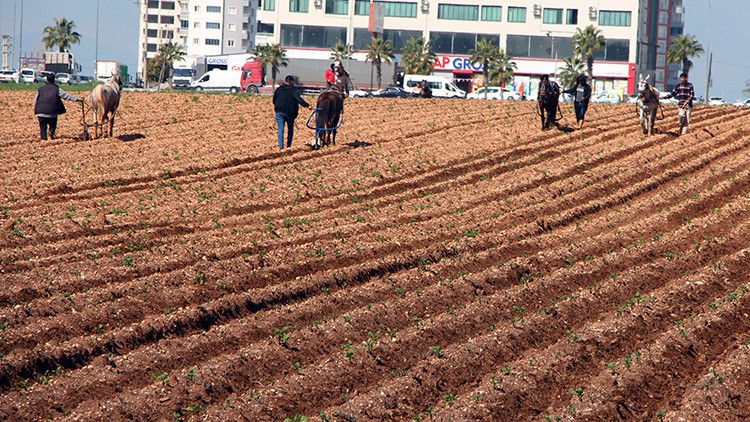 &Ccedil;ift&ccedil;ilerin Kullandığı Geleneksel Y&ouml;ntem Tartışma Yarattı