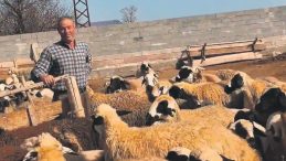 &Ccedil;oban Ailenin Eğitim Başarısı