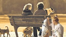 &Ccedil;ocuğun Yerini K&ouml;pek Aldı