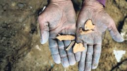 &Ccedil;ocuklarının Kemiklerini Topluyorlar