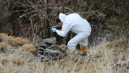 Cesedi Par&ccedil;alanmış Halde Bulundu