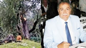 CHP Milas&rsquo;ta Zeytin Ağacı İstifası