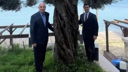 CHP&rsquo;li Tanal&rsquo;ın Zeytin G&ouml;sterisi Sosyal Medyada Tepkilerle Karşılaştı!