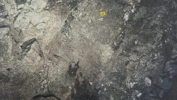 Define &Ccedil;etesine Jandarma M&uuml;dahalesi: K&ouml;yl&uuml;lerle Birlikte Define Arandı