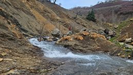 Diyarbakır'da Kayıp Yaşlı Adam, 11 G&uuml;n S&uuml;ren Aramalarda Bulunamadı