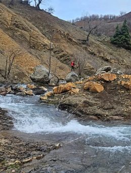 Diyarbakır'da Kayıp Yaşlı Adam, 11 G&uuml;n S&uuml;ren Aramalarda Bulunamadı