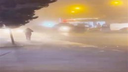 Diyarbakır&rsquo;da EYP&rsquo;li Saldırıda İki Tutuklama Ger&ccedil;ekleşti