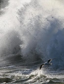 Doğu Karadeniz’e Fırtına Uyarısı