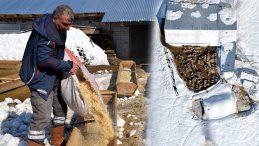 Doğup b&uuml;y&uuml;d&uuml;ğ&uuml; mahallesine d&ouml;nd&uuml;: 4 yılda hayatı değişti! 'T&uuml;m zorluklara rağmen seviyorum'