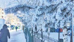 Doğu&rsquo;da Sibirya Soğuğu Etkili