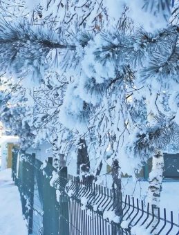 Doğu&rsquo;da Sibirya Soğuğu Etkili