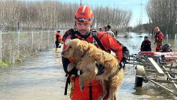 Edirne'de Meri&ccedil; ve Tunca Nehirlerinde Taşkın Tehlikesi Devam Ediyor: Kurtarma &Ccedil;alışmaları S&uuml;r&uuml;yor