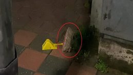 Fır&ccedil;a Sapıyla Şiddete Uğrayan Adam Hayati Tehlike ile Karşı Karşıya: İki Kişi G&ouml;zaltında!