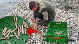 Fırtına sonrası kıyıya vurdu! Balık&ccedil;ılar topladı: Normalde para ile alıyoruz