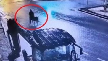 Forkliftle Kuyumcudan Ziynet Eşyası &Ccedil;alan Ş&uuml;pheli Eşekle Ka&ccedil;arken Yakalandı