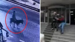 Forkliftle Soygun Yapan Ş&uuml;pheli Eşekle Ka&ccedil;tı: İfadesi Ortaya &Ccedil;ıktı