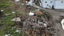 G&ouml;&ccedil; Etmeden Evinin S&uuml;s&uuml;n&uuml; Oluyor | 3 Yıldır Aynı Yerde Kalan Leylek Dikkatleri &Uuml;zerine &Ccedil;ekilebiliyor