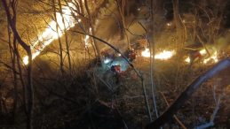 G&uuml;ney Kore&rsquo;de Orman Yangını Felaketi: 200 Futbol Sahası B&uuml;y&uuml;kl&uuml;ğ&uuml;nde Alan Yandı