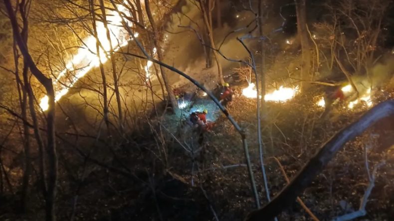 G&uuml;ney Kore&rsquo;de Orman Yangını Felaketi: 200 Futbol Sahası B&uuml;y&uuml;kl&uuml;ğ&uuml;nde Alan Yandı