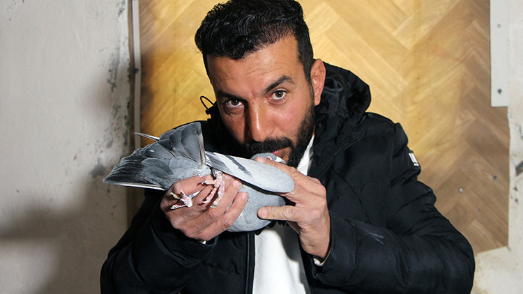 G&uuml;vercinini Bulup Getirene 75 Bin TL &Ouml;d&uuml;l: "Evladım Gibi Oldu, &Ouml;zel Bir Kuş"