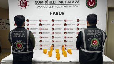 Habur'da Ayakkabı İ&ccedil;inde 41 Kilo Altın Ele Ge&ccedil;irildi