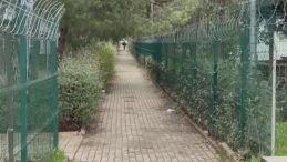 Husumetlisini Site Bah&ccedil;esinde Hayatından Etti