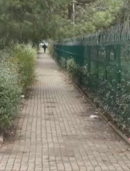 Husumetlisini Site Bah&ccedil;esinde Hayatından Etti