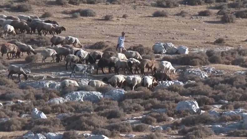 İsrail'in Saldırıları Batı Şeria&rsquo;da Yeni G&ouml;&ccedil;lere Neden Oluyor: 7 Filistinli Aile Daha G&ouml;&ccedil; Etti