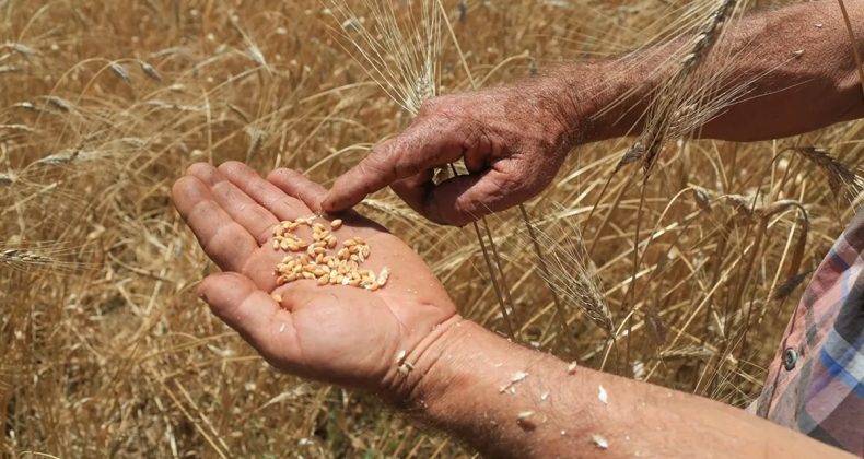 İsrail’den Tek Bir Tohum Dahi Almıyoruz