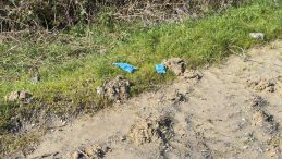 İstanbul'da Dehşet Veren Olay! &Ccedil;inli İş Adamının Cesedi Bağlı Halde Toprağa G&ouml;mm&uuml;ş Bulundu