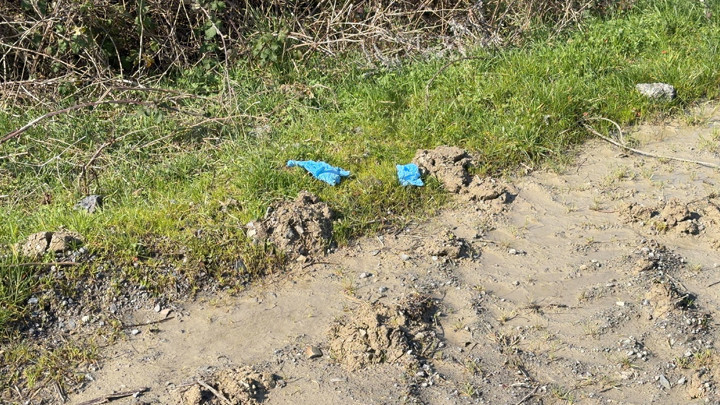 İstanbul'da Dehşet Veren Olay! Çinli İş Adamının Cesedi Bağlı Halde Toprağa Gömmüş Bulundu
