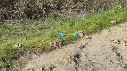 İstanbul'da Şok Eden Olay! &Ccedil;inli İş Adamının Cesedi Bağlı Halde Bulundu